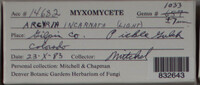 Image Associated With the Occurence